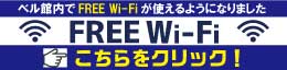 Wi-Fiが使えるようになりました